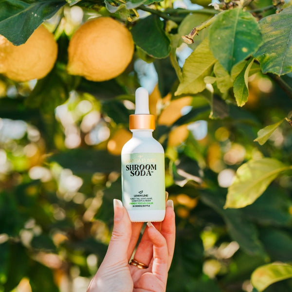 SHROOM SODA LEMON LIME