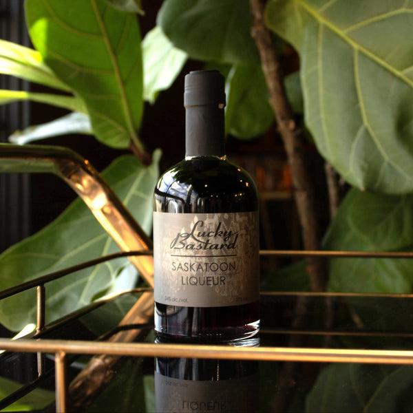 Lucky Bastard Saskatoon Berry Liqueur