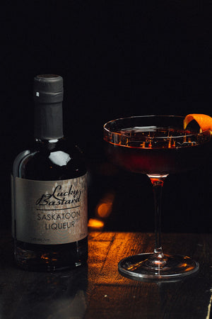 Lucky Bastard Saskatoon berry liqueur with a Martinez purple cocktail with an orange twist on a dark bar counter