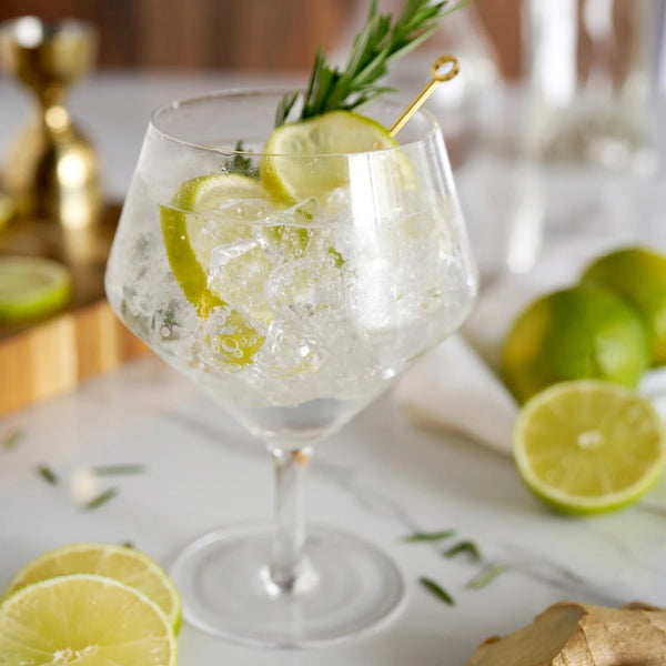VISKI GIN & TONIC GLASSES
