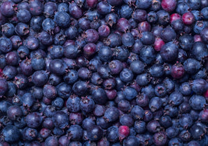 Stories from our suppliers - Prairie Berries