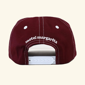 ASPIRE TO RETIRE HAT
