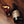 Lucky Bastard Haskap Berry Liqueur